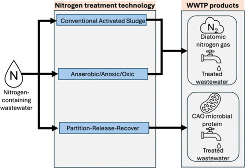 Graphical abstract for the cyanophycin accumulating organisms publication.